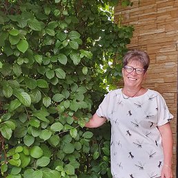 �����, ���������, 60 ���