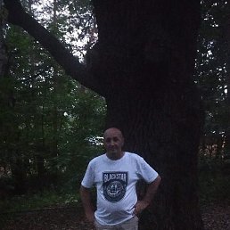 �������, ������, 49 ���