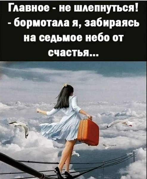   - 28  2023  03:50