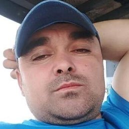 �������, �����-���������, 41 ���