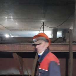 ������, �����-���������, 49 ���