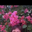 ���� �����, ����������� - ��������� 4 �������� 2023 � ������ ������ ��������