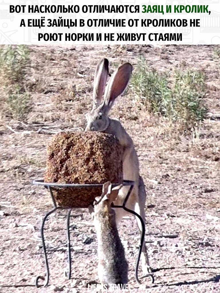  ,       ,    ,    ...