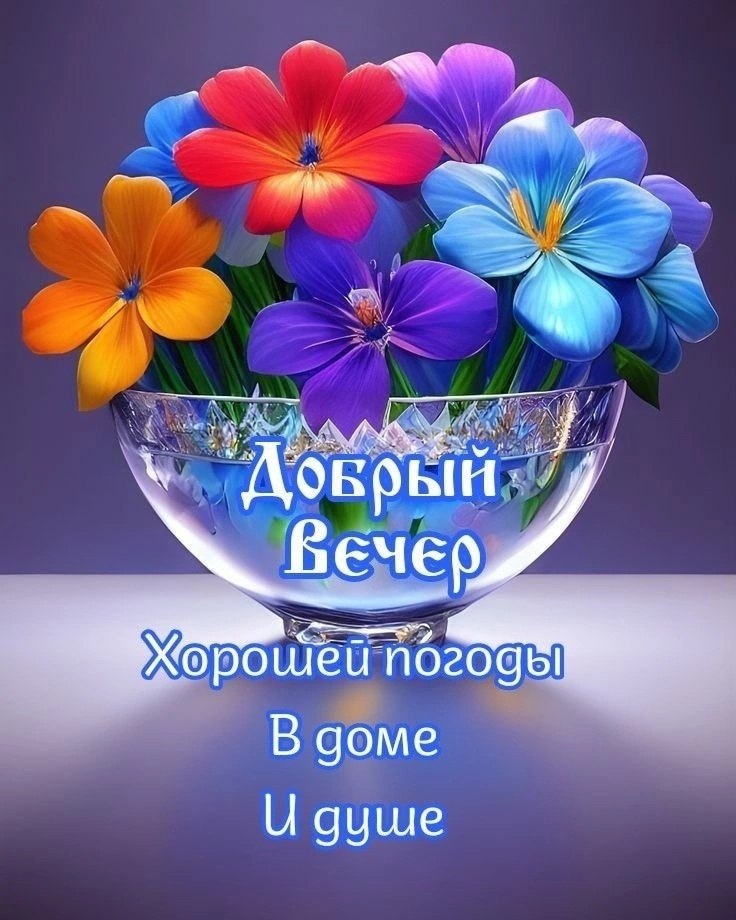   ,    . - 21  2023  17:41 - 6