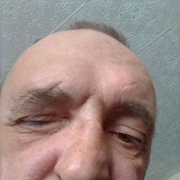 ������, ������, 48 ���