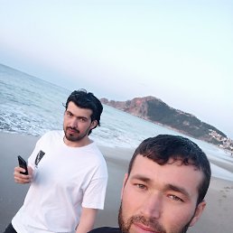 ������, ������, 36 ���