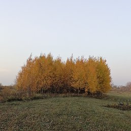 ���� ����, ���������� - ��������� 5 ������� 2023