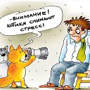 ���� �������, ������ - ��������� 11 �������� 2023 � ������ ������ ��������