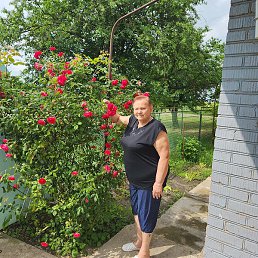 ������, ���������, 81 ���