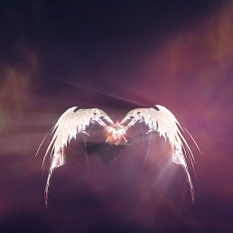 �����, ���, 31 ���