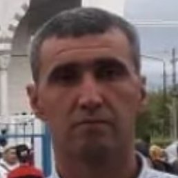 �����, ���������, 44 ����