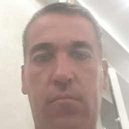 4�����, ������, 47 ���