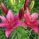 ���� � � � �, ���������� - ��������� 1 ��� 2023 � ������ ���� ����������