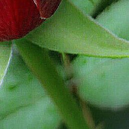 ����, ������, 53 ����