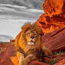 ���� ����, ������, 39 ��� - ��������� 2 ������ 2023