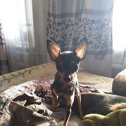 ���� ������, ������, 61 ��� - ��������� 20 ����� 2023