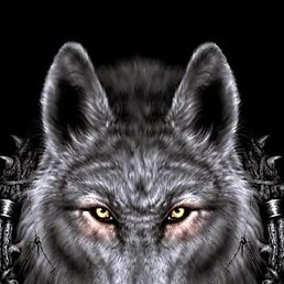 ��������, �������, 47 ���