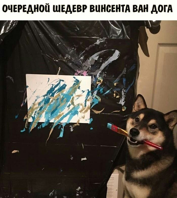    - 28  2023  18:16