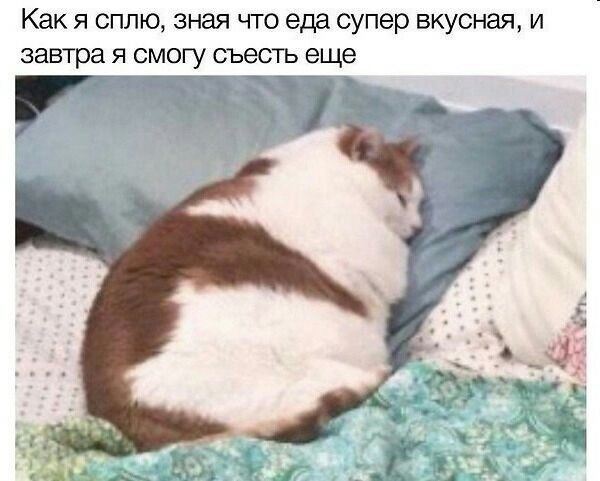    - 27  2023  13:40