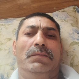 �����, �����, 58 ���