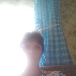 ����, �����������, 41 ���