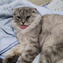 ����, ������, 27 ���