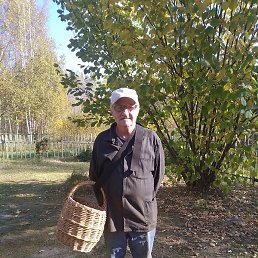 ��������, ���������, 68 ���