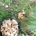 ���� ������, ���������� - ��������� 10 �������� 2023 � ������ ������ ��������