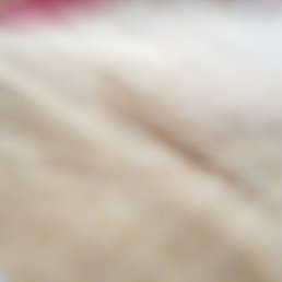 ����, ������, 35 ���