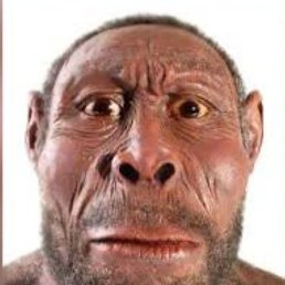 �, ���������������, 93 ����