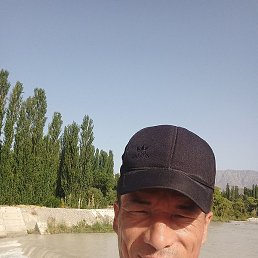 ������, �������, 41 ���