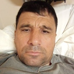 �����, �����-���������, 49 ���