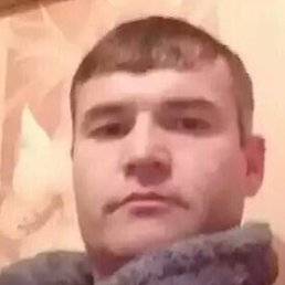 �����, ������������, 37 ���