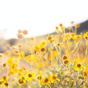 ���� ��������, ����������, 67 ��� - ��������� 27 ��� 2023