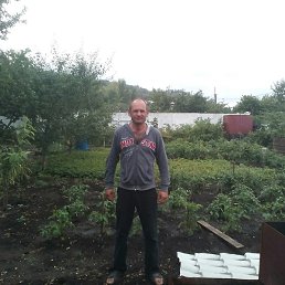 ����, ������, 47 ���