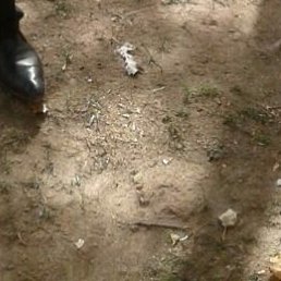 �����"�, �����, 35 ���