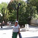 ���� ������, ��������, 66 ��� - ��������� 30 �������� 2023 � ������ ���� ����������
