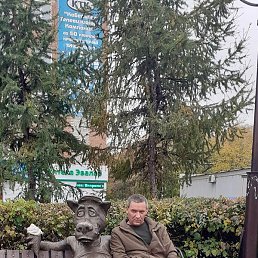 ���������, ���������, 36 ���