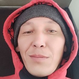 �����, ������, 41 ���