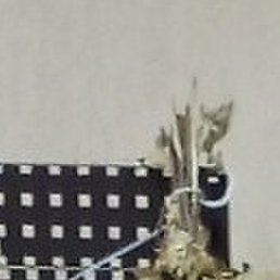 �����, ������, 49 ���