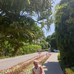 ���������, ���������, 59 ���