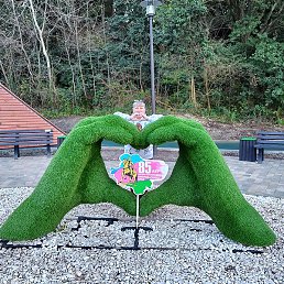 �����, ������, 52 ����