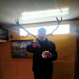 �����, ������, 36 ���