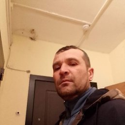 �������, �������, 48 ���