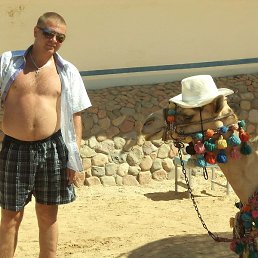 �����, ������, 42 ����