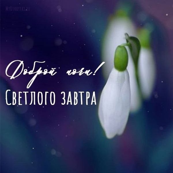   ,    . - 5  2023  19:52