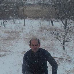 ������, ���������, 51 ���