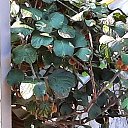 ���� ����, ����� - ��������� 29 �������� 2023 � ������ ���������� ������