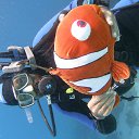  Tiger, , 72  -  28  2023   memory Hurghada