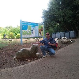 ��������, ������, 62 ����